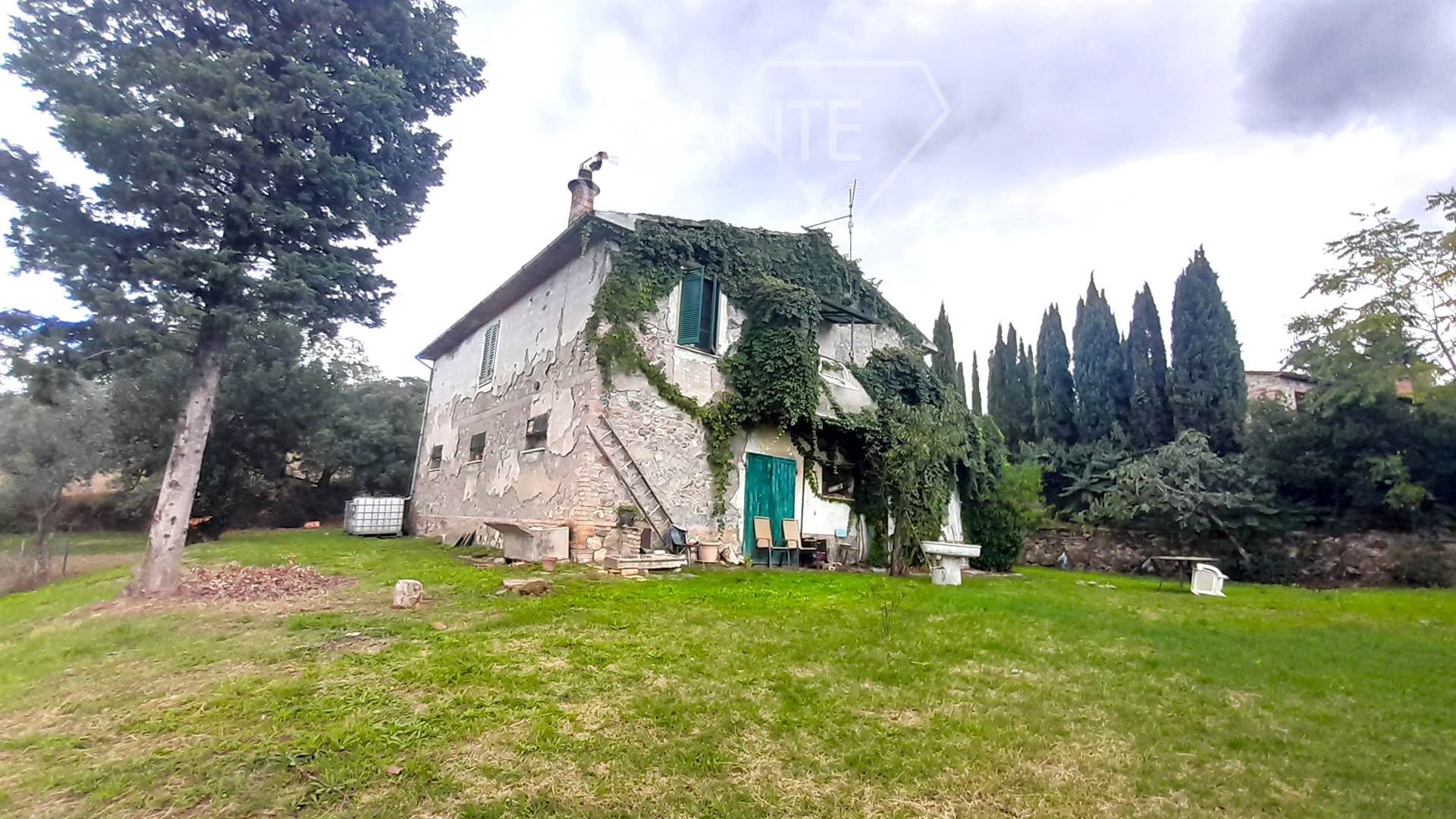 azienda-agricola-con-casale-e-terreno-zona-scansano