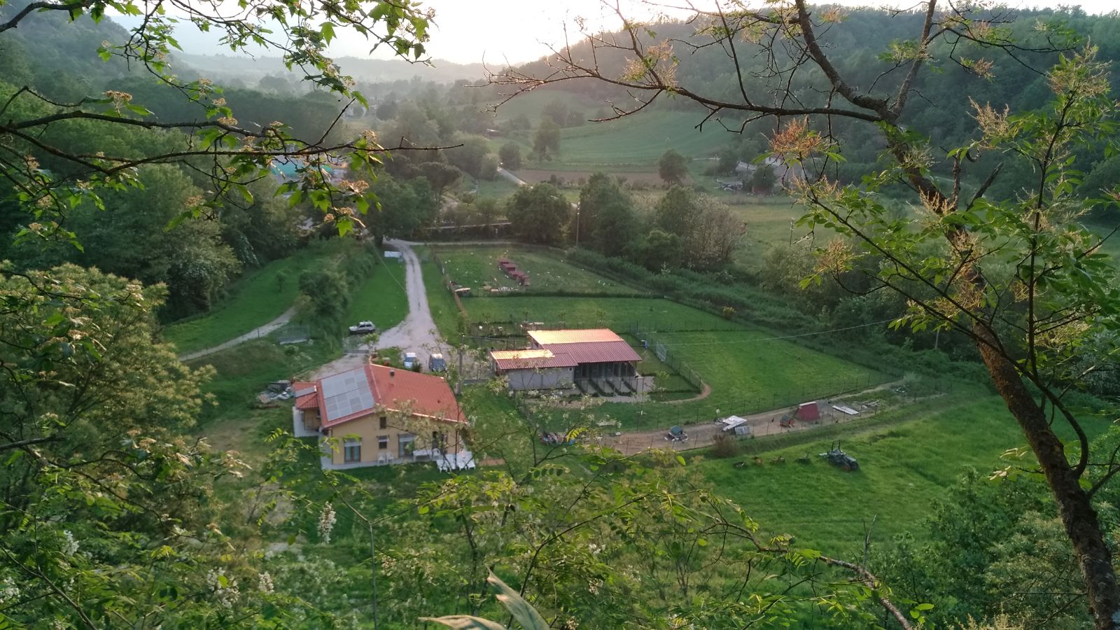 azienda-agricola-biologica-con-attivita-cinotecnica