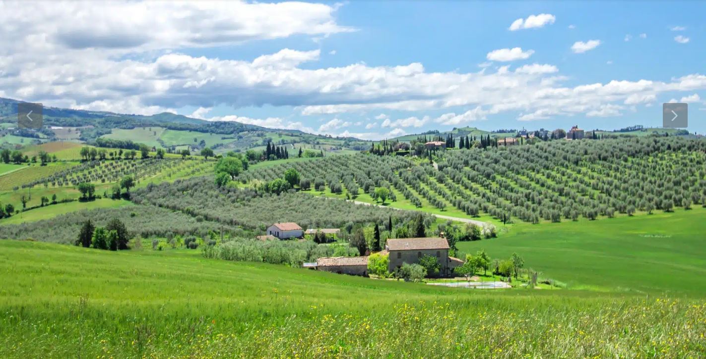 casale-ed-azienda-agricola-biologica-con-agriturismo-sulle-colline-di-cinigiano