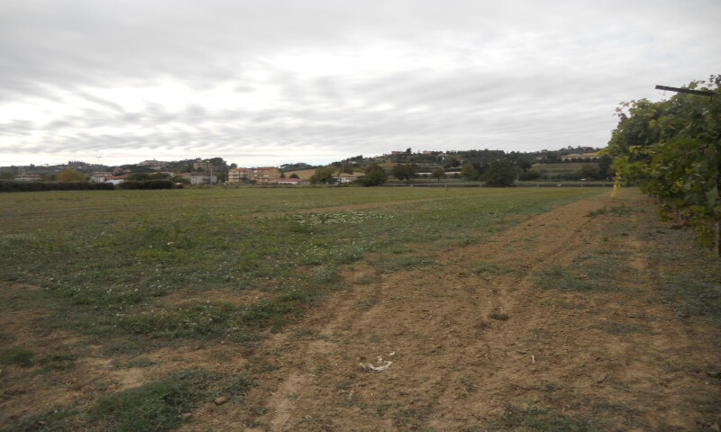 Terreni Agricoli In Vendita - B2scout.com